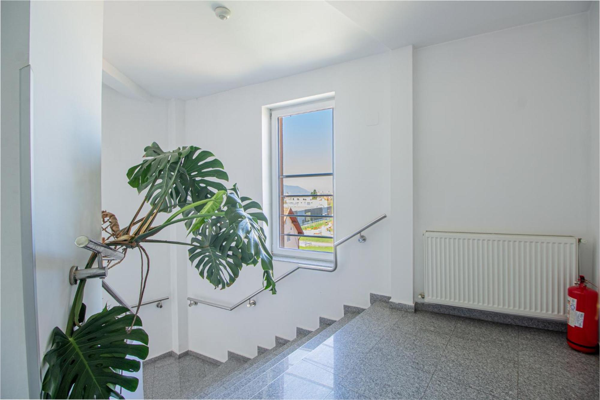 Casa Muresan Braşov Esterno foto
